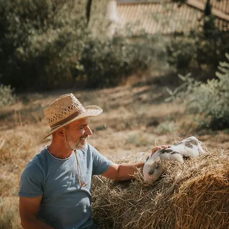 Chateau Les Carrasses Capestang