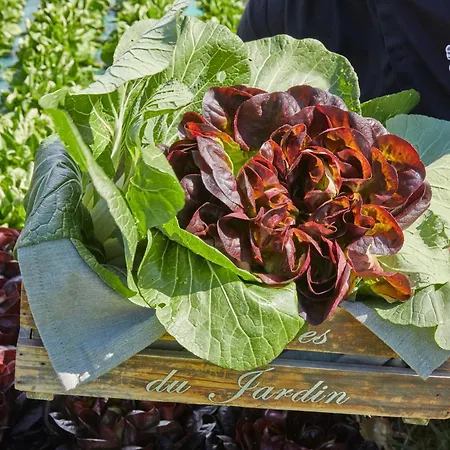 Hotel Chateau Les Carrasses 4*