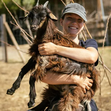 Chateau Les Carrasses Capestang