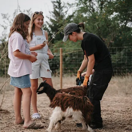 Chateau Les Carrasses Hotel