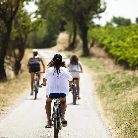 Chateau Les Carrasses