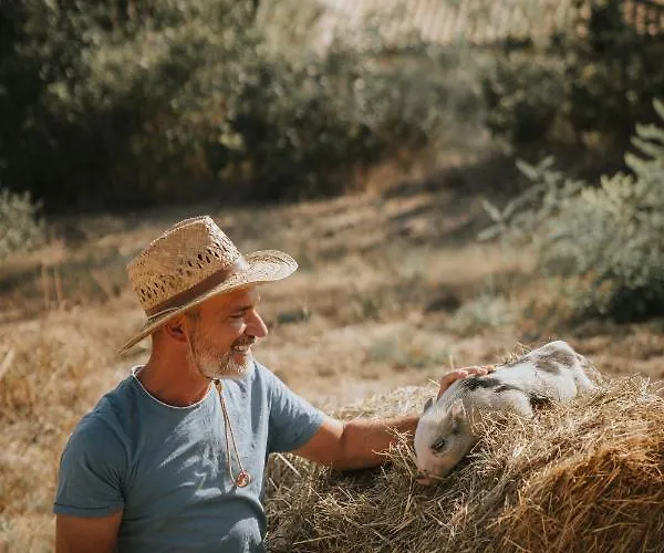Château Les Carrasses Capestang