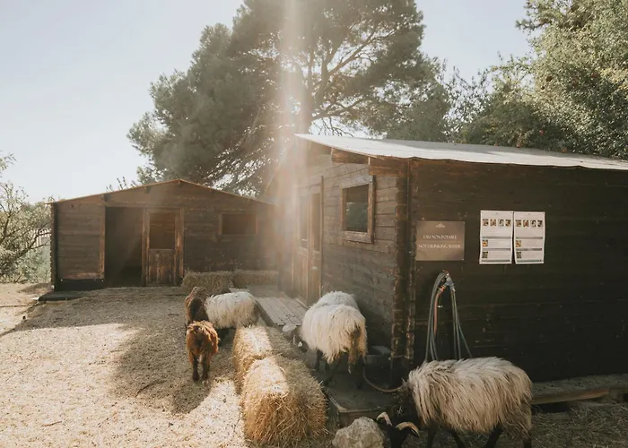 Hotel Château Les Carrasses