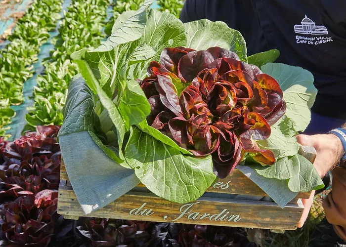 Hotel Château Les Carrasses 4*