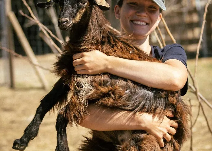 Château Les Carrasses Capestang