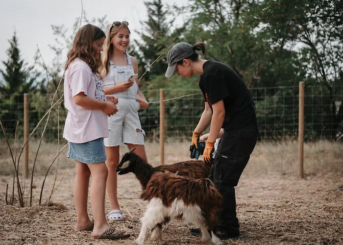 Château Les Carrasses Hotel