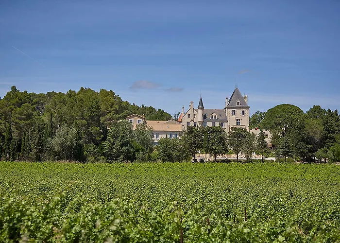 Hotel Château Les Carrasses 4*