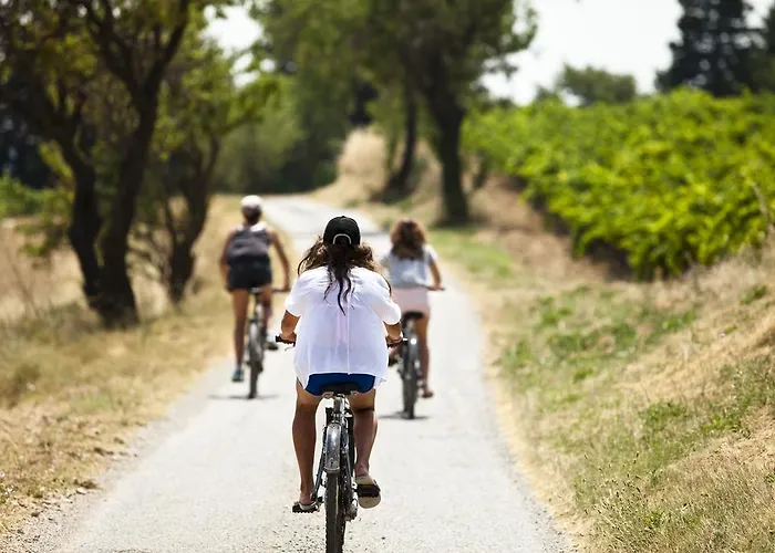 Château Les Carrasses